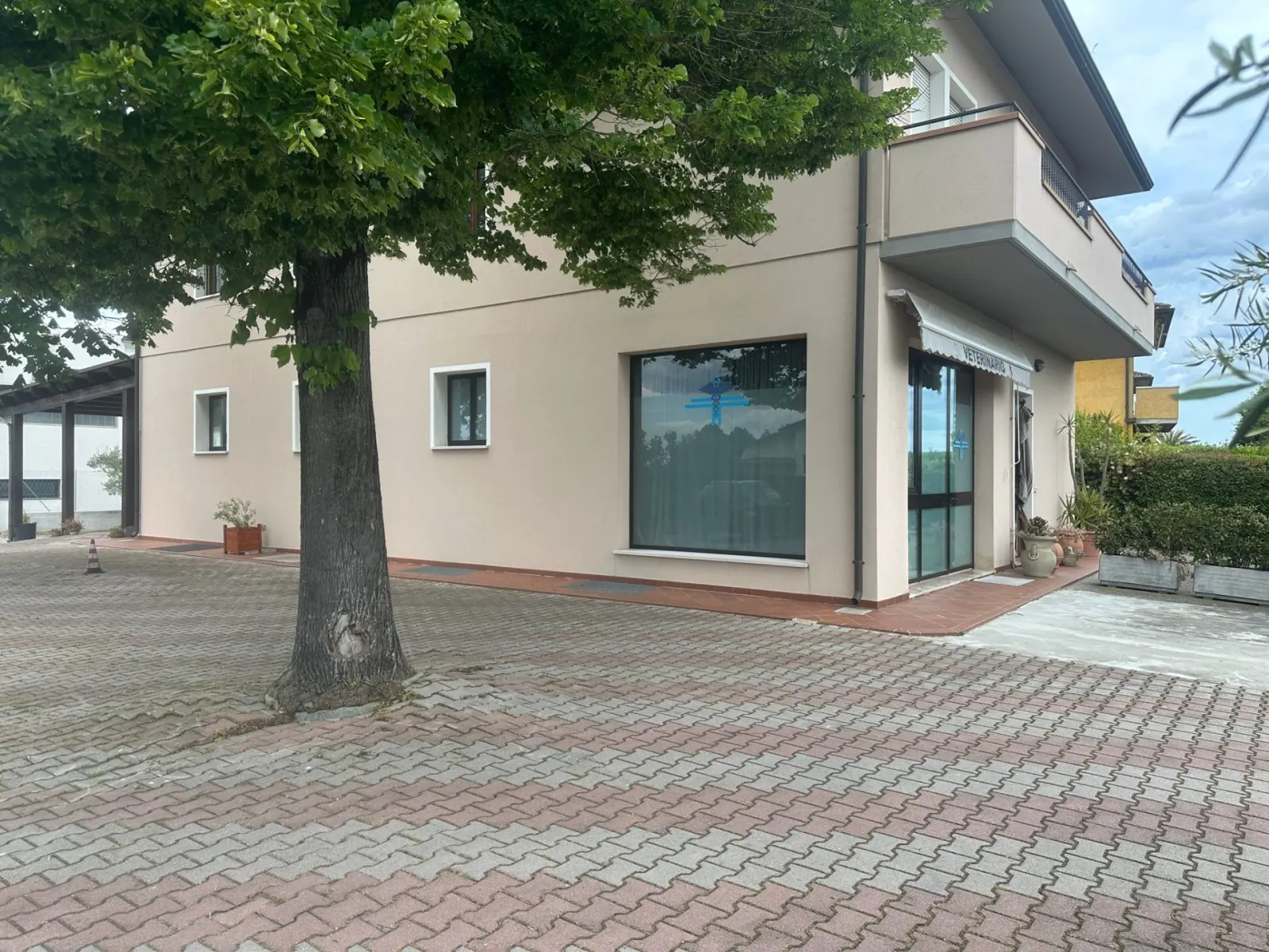 Esterno dell'ambulatorio veterinario con parcheggio